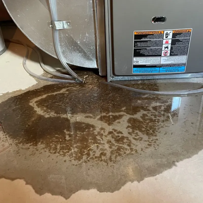 Pipe Burst and Leak Restoration in Grundy, VA