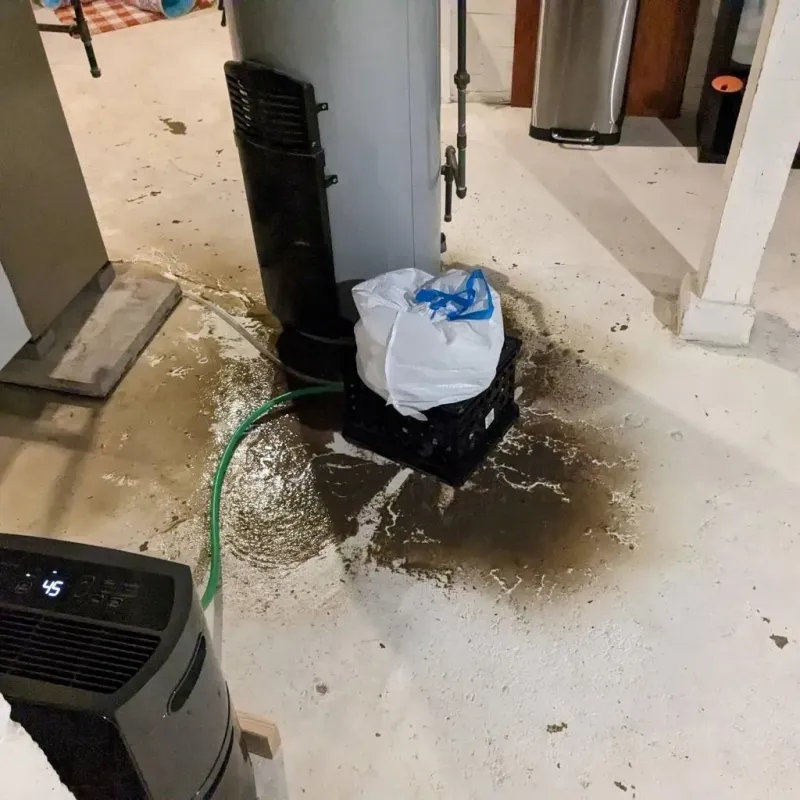Sewage Backup Cleanup Service in Grundy, VA